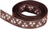 Elinor Belt Limited Edition